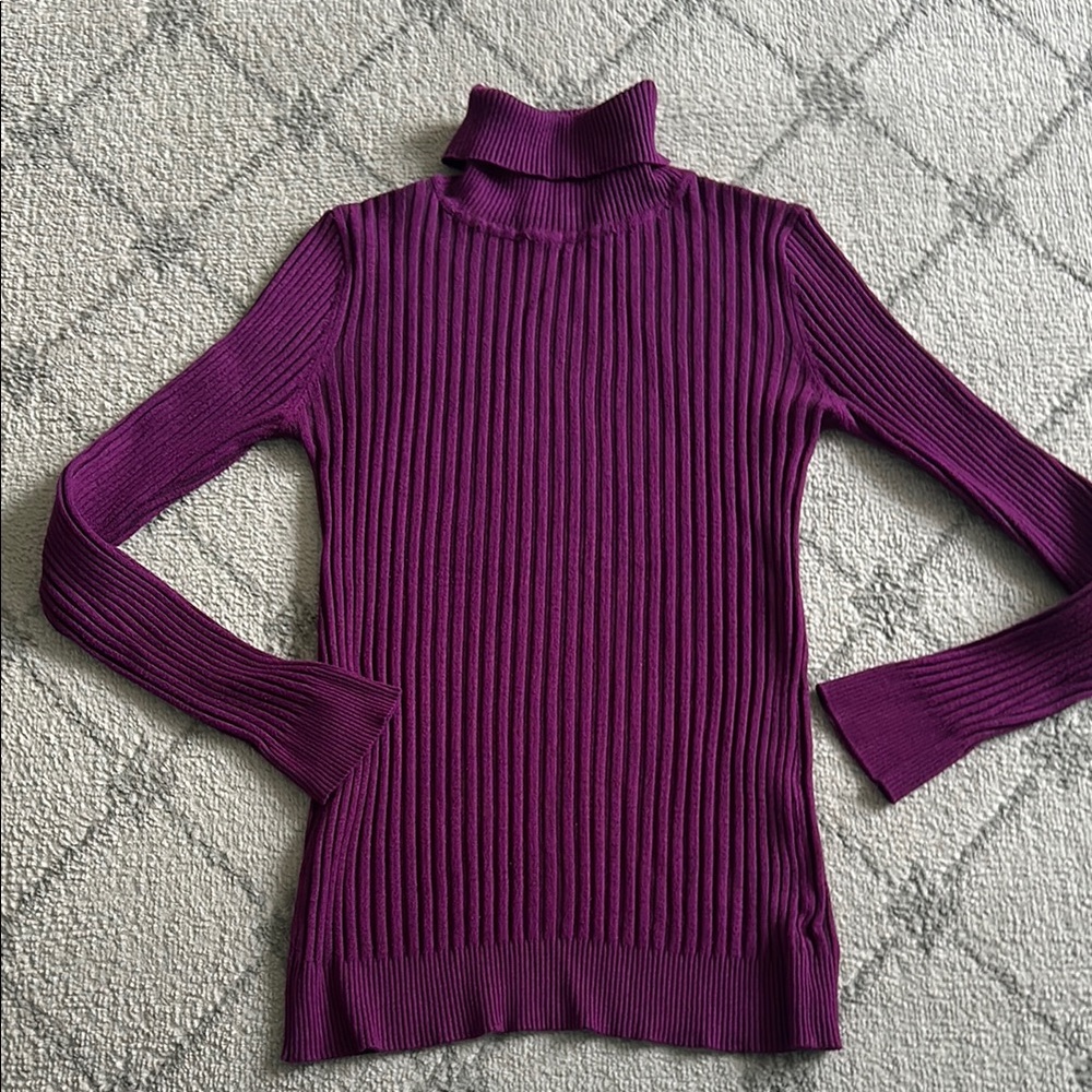 Grane Purple Y2K  Ribbed Form Fitting Turtleneck Sweater